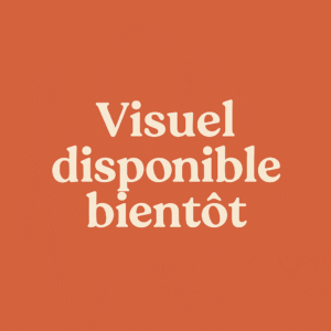 Alloco (banane plantain frite)